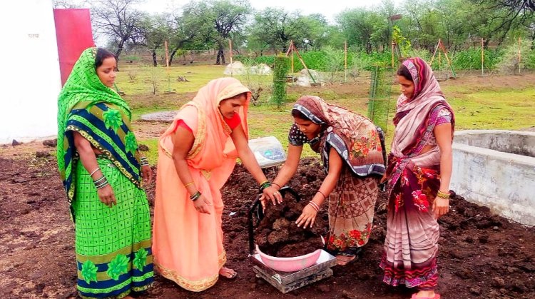 केसीजी ने हासिल किया राज्य में दूसरा रैंक, 84 प्रतिशत गौठानों में हुई गोबर क्रय*