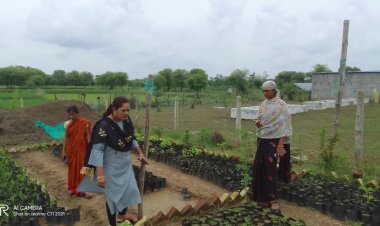 गौठान बन रहा स्व सहायता समूह की महिलाओं के लिए कर्मभूमि ,