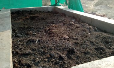 महिला स्व-सहायता समूह की  सदस्य आर्थिक दृष्टिकोण से हो रहीं सशक्त*