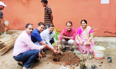 खैरागढ़ जिला कोषालय परिसर में हुआ पौधरोपण*