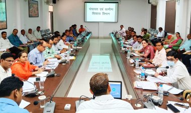 कलेक्टर ने मौसमी बीमारी से बचने कीटनाशक फॉगिंग हेतु बैठक में दिए निर्देश