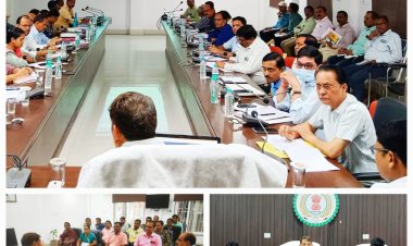 मुख्य मार्गों से आवारा पशुओं को हटायें  रेडियम भी लगायें  कलेक्टर