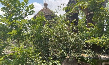 राजाओ के समाधि स्थल संवारे जायेंगे