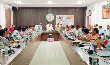 आवारा पशुओं के व्यस्थापन हेतु अस्थाई कांजी हाऊस का निर्माण करें  कलेक्टर