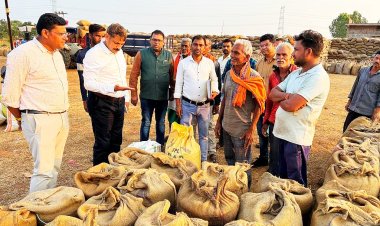 कलेक्टर ने धान उपार्जन केन्द्र भोरमपुर कला का किया निरीक्षण