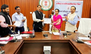 कलेक्टर ने बिहान के तत्वाधान में बैंकर्स की ली समीक्षा बैठक