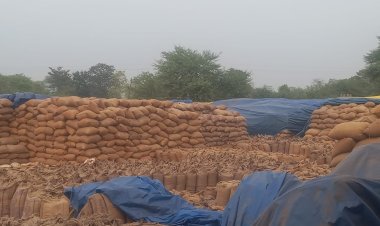 कार्य में लापरवाही बरतने पर धान उपार्जन केंद्र झुरानदी के सहायक समिति प्रबंधक निलंबित