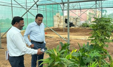 जिले की एक मात्र हाईटेक नर्सरी का     कलेक्टर ने किया औचक निरीक्षण