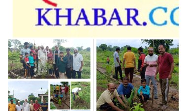 एक पेड़  मरहुमो के नाम