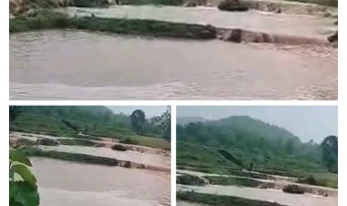 वनांचल का डूमरिया बांध बहा