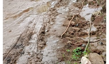 छुईखदान उदयपुर दनिया नवनिर्मित सड़क का हाल बेहाल