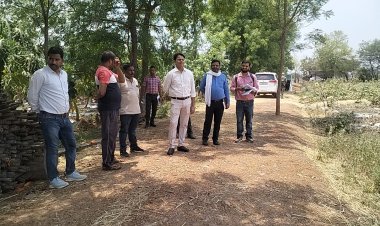 कलेक्टर  ने कृषि और उद्यानिकी की उन्नत खेती का किया निरीक्षण   