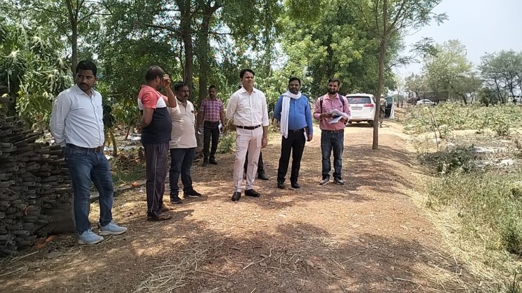 कलेक्टर ने कृषि और उद्यानिकी की उन्नत खेती का किया निरीक्षण