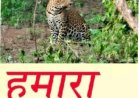 तेंदुओं की आहट से बैताल रानी क्षेत्र में दहशत